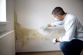 Best Comprehensive Air Testing for Mold Contaminants  in Goodview, MN